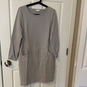 J. Jill  Gray Long Sleeve Comfortable Dress with Front Pockets
